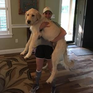 Meet your Posher, Lauren